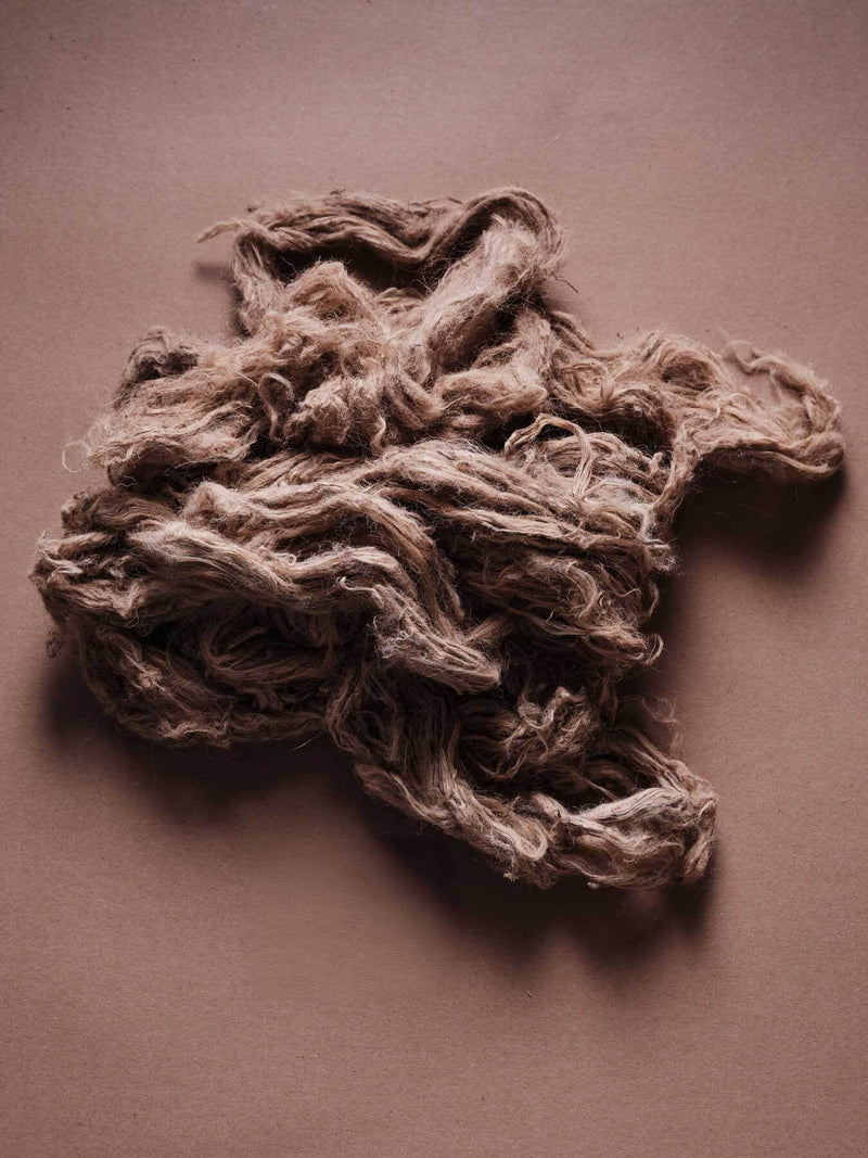 Jute