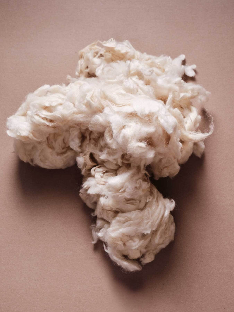 New Zealand Wool