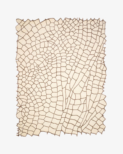 Terraform Wool & Silk Rug / Swatch