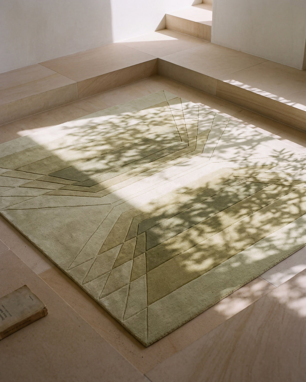 Olive leaf shadows on Cavea